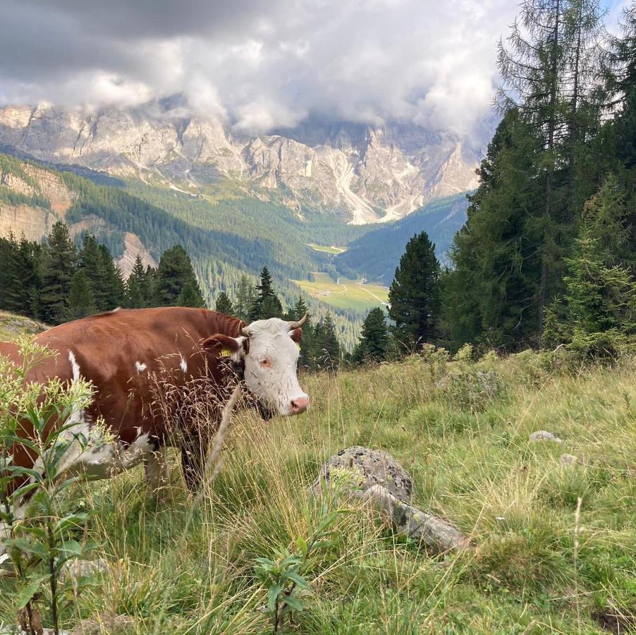 Rifugio Caltena เฟียรา ดี พรีเมียโร ภายนอก รูปภาพ