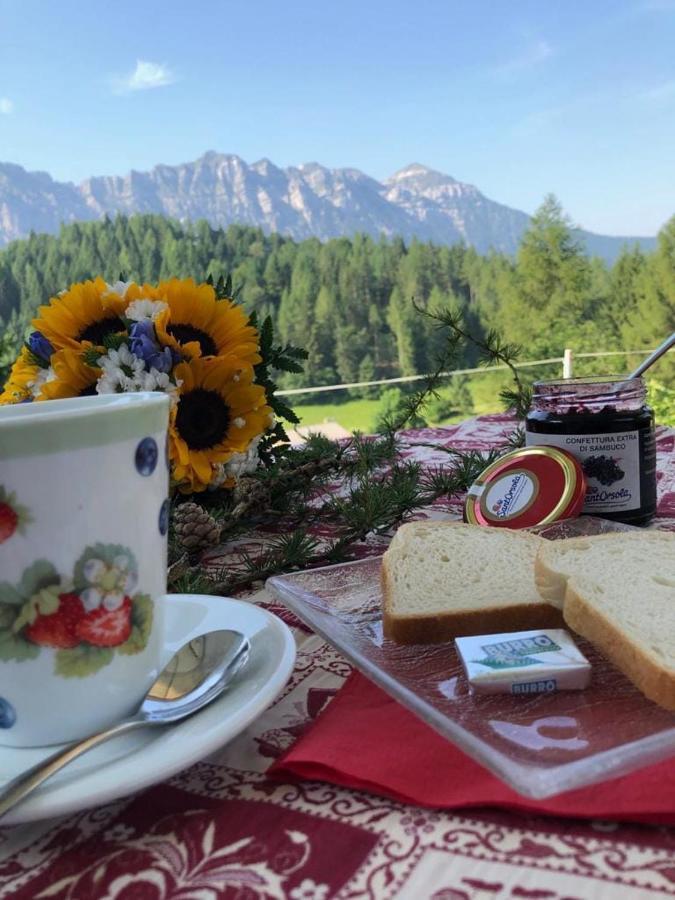 Rifugio Caltena เฟียรา ดี พรีเมียโร ภายนอก รูปภาพ