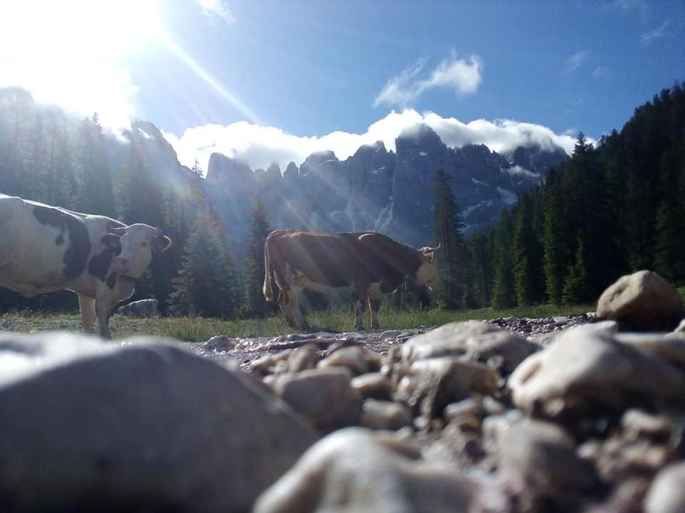 Rifugio Caltena เฟียรา ดี พรีเมียโร ภายนอก รูปภาพ